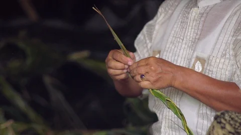 Palm leaf decorations Stock Footage 87258706