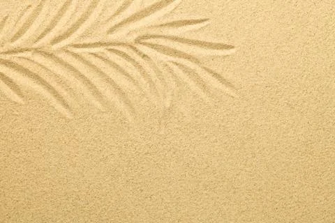 Palm Leaf Drawn in the Sand. Summer Background Stock Photos