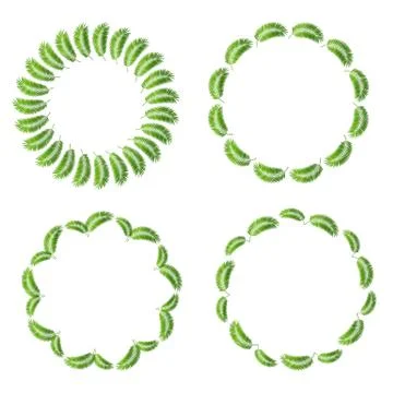 Palm Leaf Frame Set Vector Illustration イラスト素材