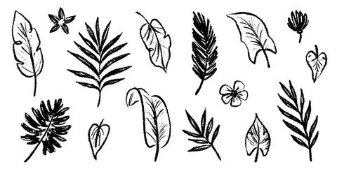 Palm leaf hand drawn crayon brush illustration. Foliage black tropical jungle Stock Illustration