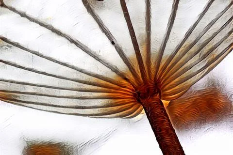 Palm leaf Stock Illustration