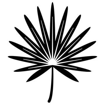 Palm Leaf Stock Illustration