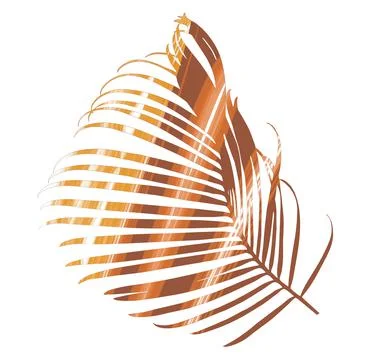 Palm leaf isolated on white background Stock Illustration