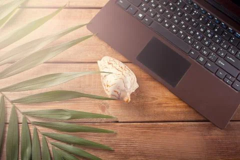 Palm leaf, laptop, shell on a old wooden background, marine theme, online wor Stock Photos