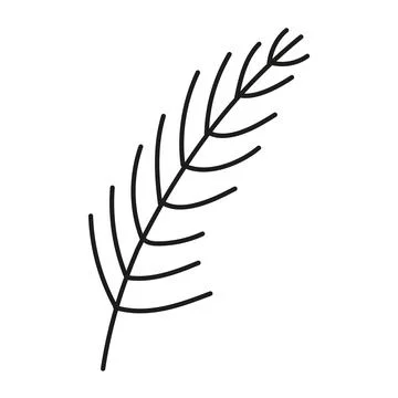 Palm Leaf line art icon. Simple botanical branch outline symbol. Vector con.. Stock Illustration