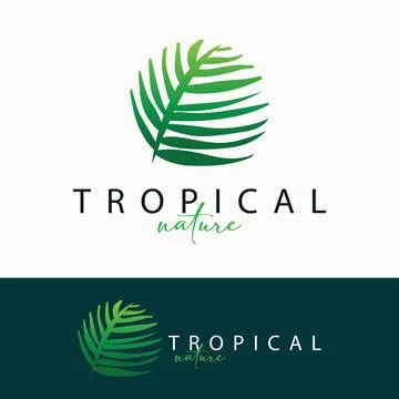 Palm Leaf Logo Design Vector Simple Minimalist Symbol Illustration Template Illustrazione stock