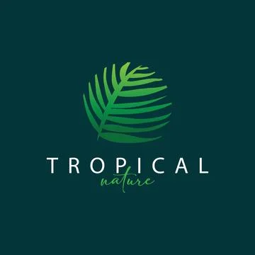 Palm Leaf Logo Design Vector Simple Minimalist Symbol Illustration Template Illustrazione stock