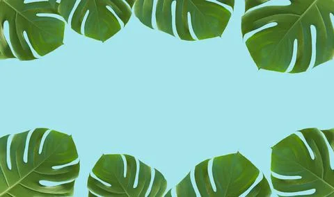 Palm leaf monstera on colored minimal background. Tropical summer frame blue Foto stock