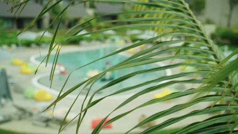 Palm leaf moving in the wind, luxury pool spa and hotel in background Stock Footage 197336733