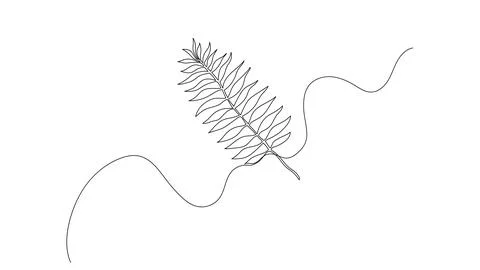 Palm leaf one continuous line illustration. Hand drawn doodle sketch of tropi Stock Illustration