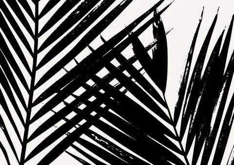 Palm Leaf Poster Design Stock Illustration