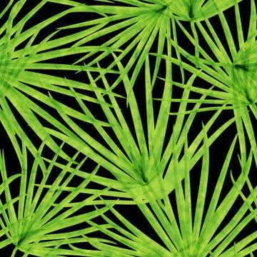Palm Leaf  Seamless Pattern Background Illustration Stock Illustration