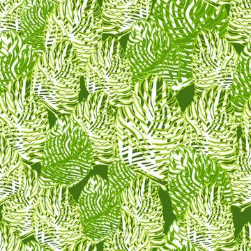 Palm leaf seamless pattern with hand drawn in line tropical print. Modern nat Stock Illustration