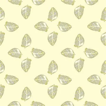 Palm leaf seamless pattern with hand drawn in line tropical print. Modern nat Stock Illustration