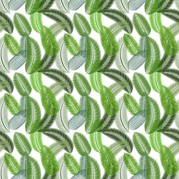 Palm Leaf. Seamless Pattern. Vector Illustration Illustrazione stock