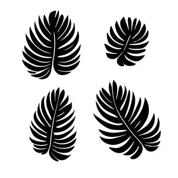 Palm Leaf set Vector Background Illustration on white background. Minimalism art Stock Illustration