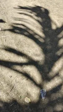 Palm leaf shadow cast on textured ground surface for tropical summer background 스톡 사진