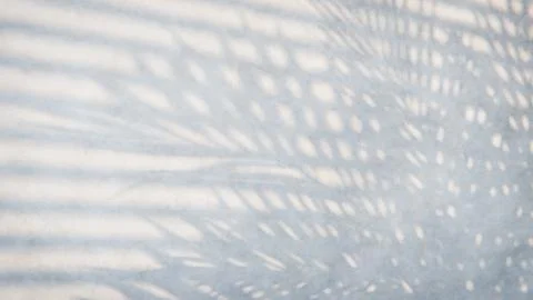 Palm leaf shadow creating an abstract pattern on blue background Stock Photos