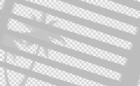 Palm leaf shadow overlay with window blind stripes. Stock Illustration