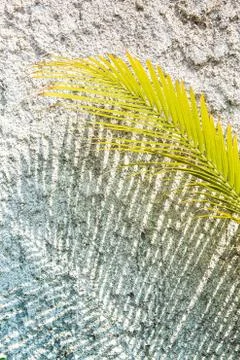 Palm leaf shadow Stock-Fotos