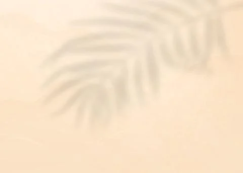 Palm leaf shadow vector on light pink background. Nature summer tropic pattern Illustrazione stock