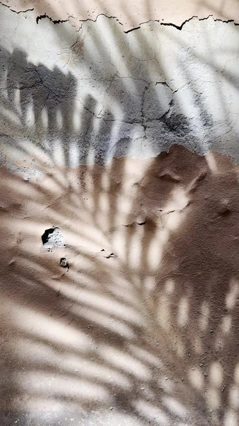 Palm Leaf Shadow on Weathered Pink Wall with Rustic Texture Stock Footage 340353637