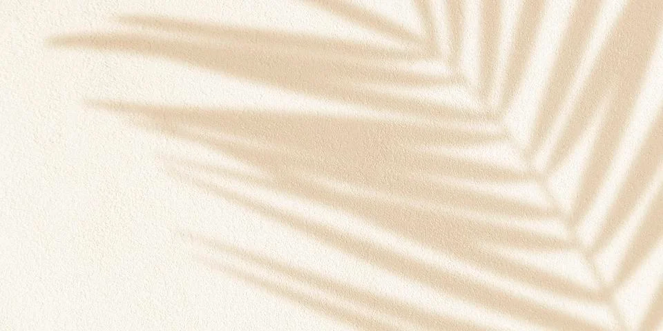 Palm leaf shadow. White and brown colors. Modern background in floral style Stock Illustration