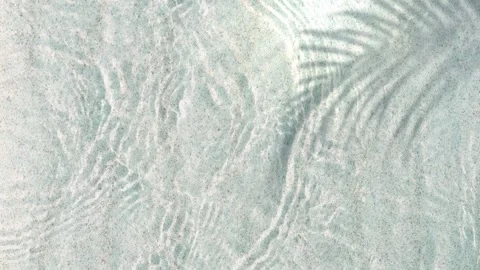 Palm leaf shadow on white sand beach water wave Stock Footage 276319110