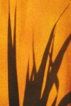Palm leaf shadow on yellow textured fabric Stock Photos