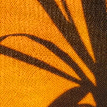 Palm leaf shadow on yellow textured fabric Stock Photos