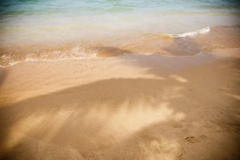 Palm leaf shadows on the beach. Stock Photos