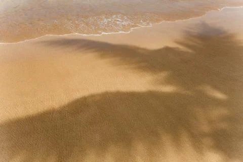 Palm leaf shadows on the beach. Stock Photos