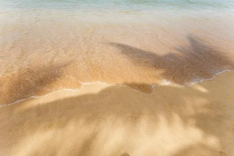Palm leaf shadows on the beach. Stock Photos