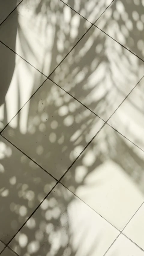 Palm Leaf Shadows on Beige Tile Floor in Soft Natural Sunlight Vertical Stock Footage 339025165
