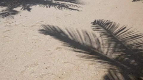Palm leaf shadows cast on sunny tropical beach sand texture Stock Footage 308236803