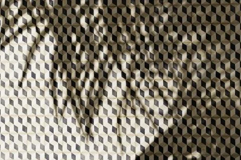 Palm Leaf Shadows On Cube Marble Tiles Wall Stock Photos