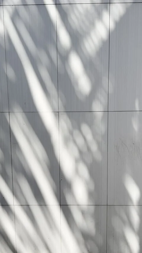 Palm Leaf Shadows Moving Across White Tiled Wall Background Stock Footage 334620125