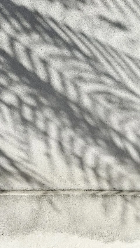 Palm Leaf Shadows on Raw Concrete Wall in Warm Natural Sunlight Vertical Stock Footage 339024958