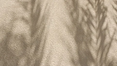 Palm leaf shadows on a sandy background. Tropical coconut palm leaf trees at Stock Footage 270934998