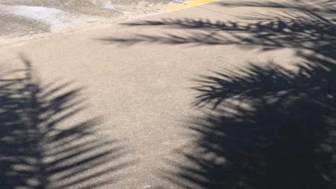 Palm leaf shadows swaying in the wind on the road Stock Footage 302572589