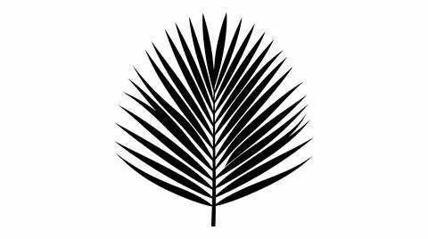 Palm Leaf Silhouette Illustration Stock Illustration