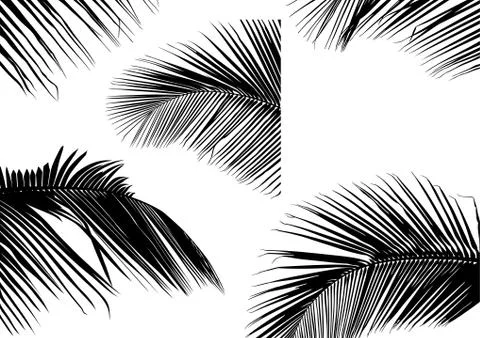 Palm Leaf Silhouettes Stock Illustration