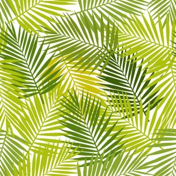 Palm leaf silhouettes seamless pattern. Vector illustration. Tropical leaves. Illustrazione stock