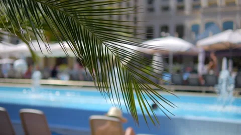 Palm leaf swaying in front of a pool view in 4k slow motion 60fps Stock Footage 283828644