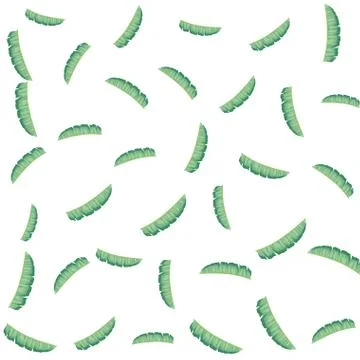 Palm leaf tropical foliage background pattern Stock Illustration