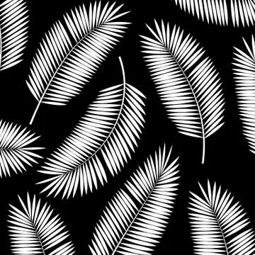 Palm Leaf Vector Background Illustration Illustrazione stock