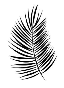 Palm Leaf Vector Background Illustration Illustrazione stock