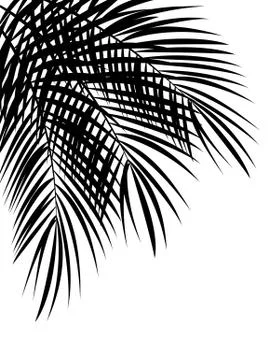 Palm Leaf Vector Background Illustration Stock Illustration