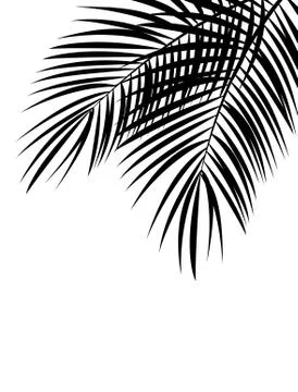 Palm Leaf Vector Background Illustration Stock Illustration