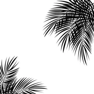 Palm Leaf Vector Background Illustration Stock Illustration